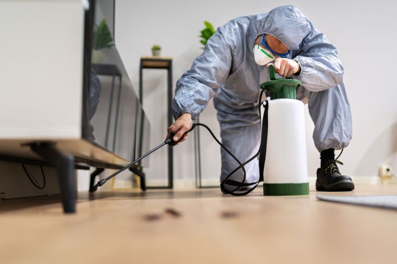 Spider Fumigation Service in Winston Salem, NC