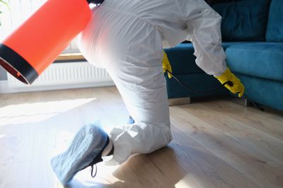 Commercial Fumigation in Columbus, OH