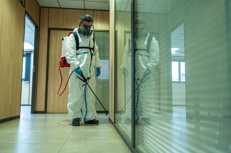 Spider Fumigation Service in Naperville, IL
